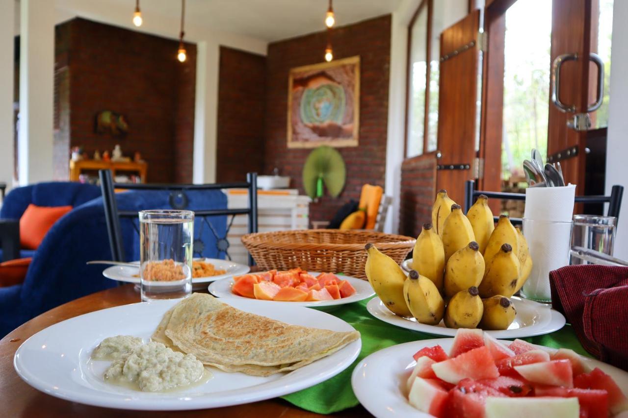Bed and Breakfast Shambala Retreat Элла Экстерьер фото